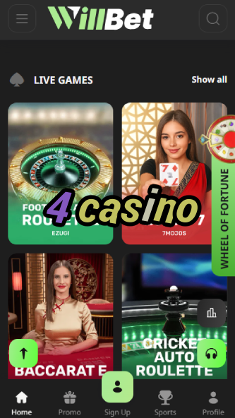 4 Casino - Top Games & Bonuses-casinobuddy.ydblkf.net